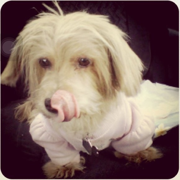 Meet your Posher, Honey - Picture 1 of 1